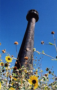 Matagorda Island